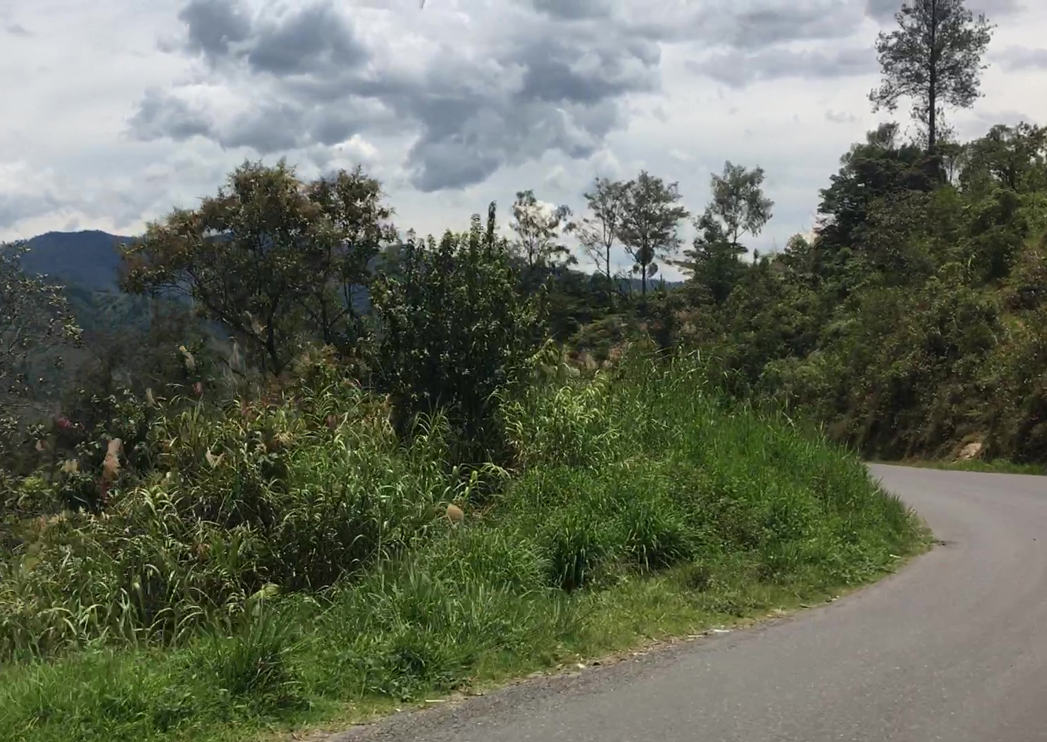 Switchbacks_cropped.jpg